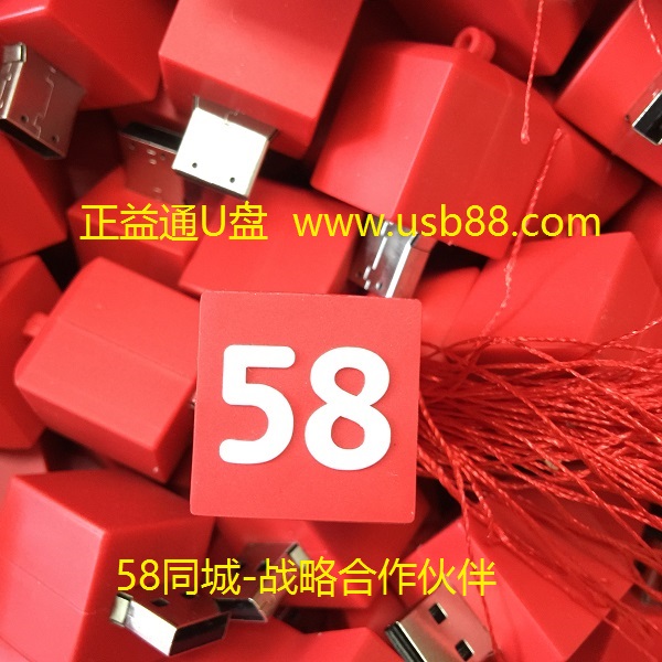 58同城趕集網安居網 U盤定制